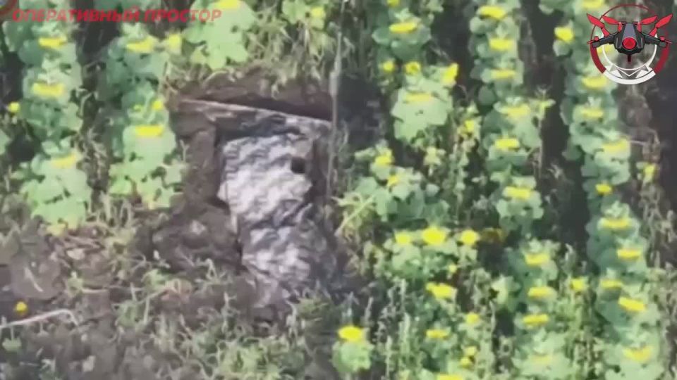 ����������� ���������� ������� ��� ������ � ������� ����������� �������