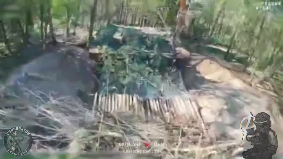 �� ����������� �����������, � ������ �.�. �������, FPV-������� "���" ���������� ��� 2�3 �������� ���