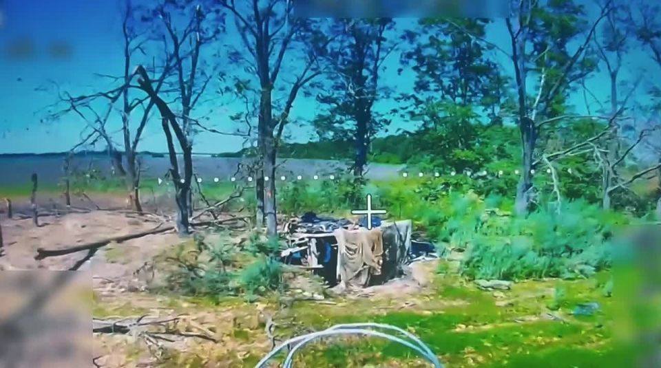 ����������? �� ��� ���������!�