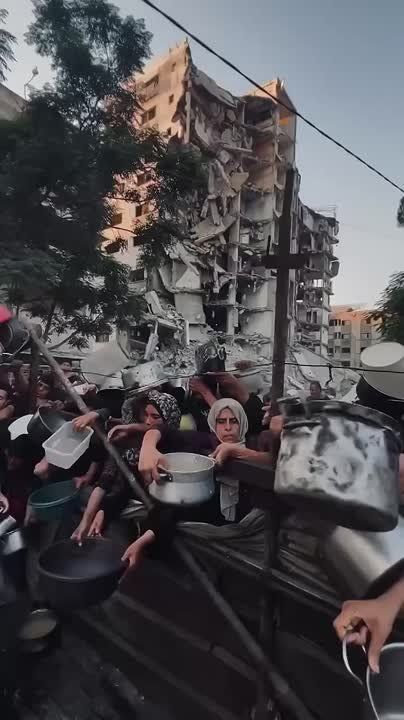 ���� �������� �� ���� �����