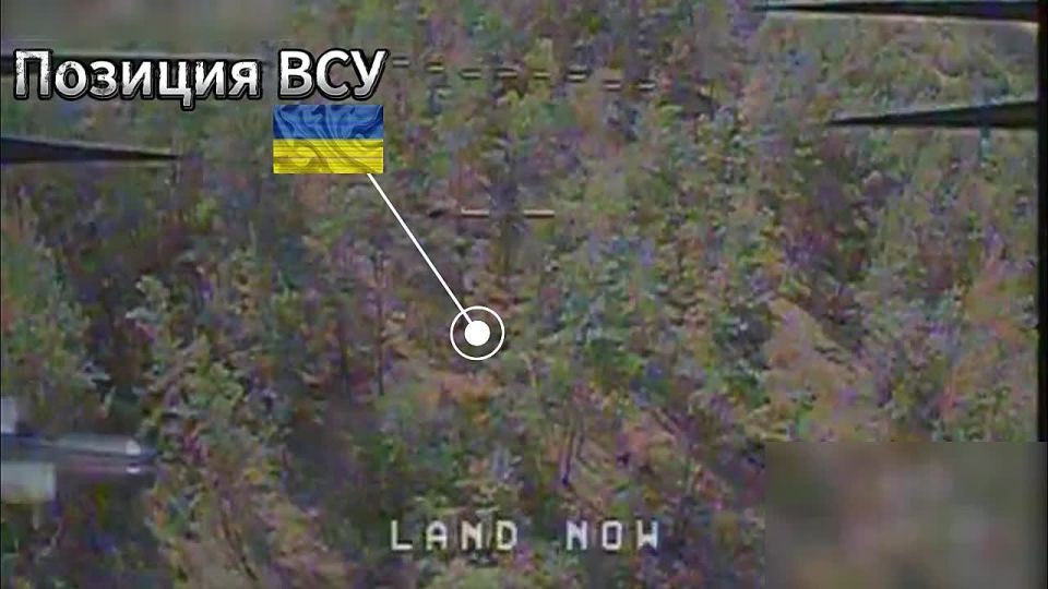 �������� ������� ���� � ��� ����� �����