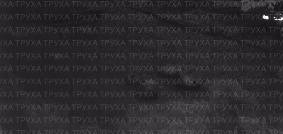 �������� ����� �� �������� ��� � ���������/���������������� � Ƹ���� ����� ���������������� �������