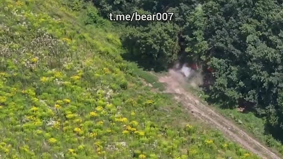 ����� ����������� ���������� �������� � ������� ������� ��� � �������� ���� �����������, ������������ � ������� ��������