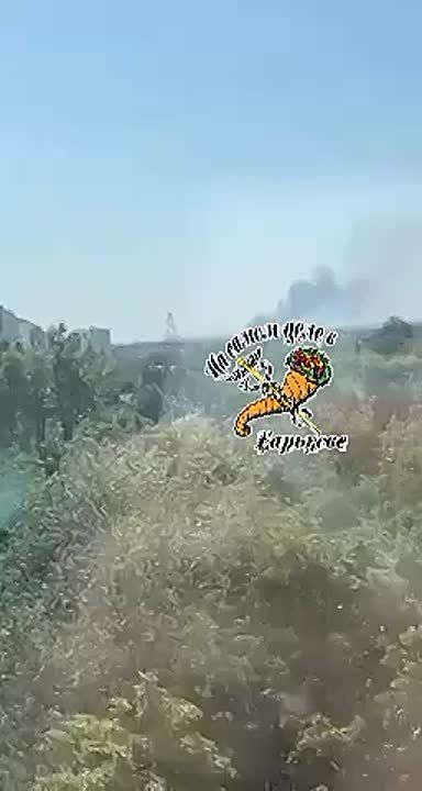 ��� ��������, ����������� �����