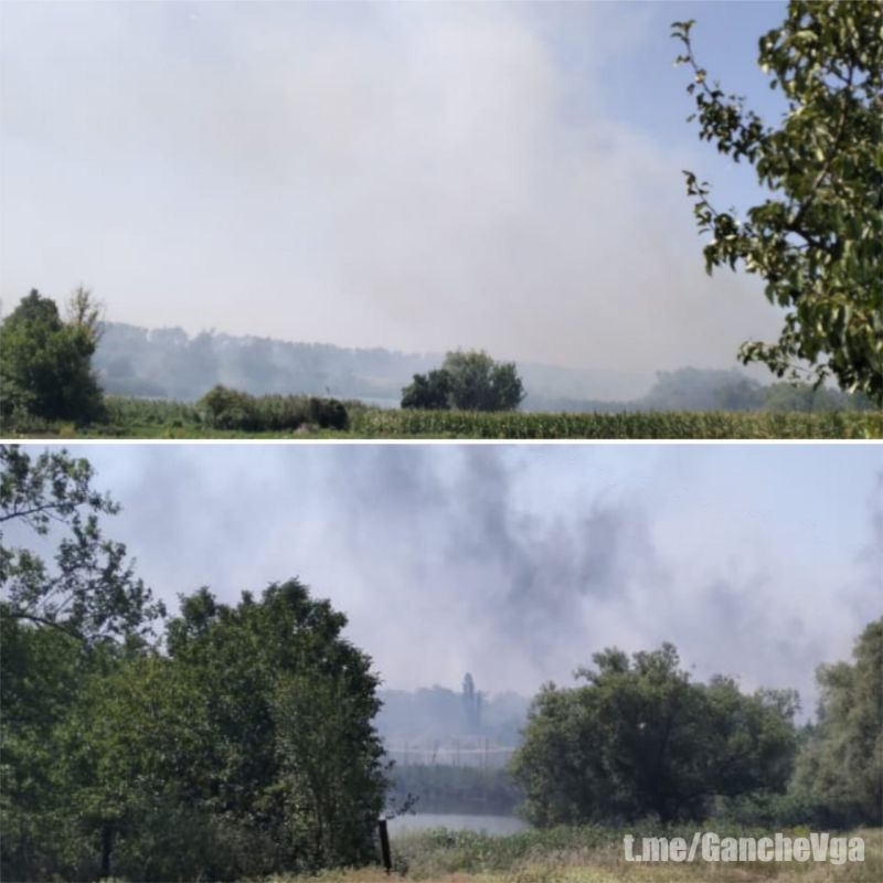 ���������� ������������ ��������� �������������� ���� �� ������������� ���������� ����������� ������� �������������� ������������, ��� ������� � ������