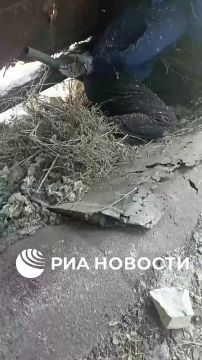 ,     ""     