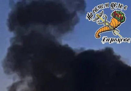 ���� ����� � ����������� ������� ������� ������ � ���������� ������ �� ��: