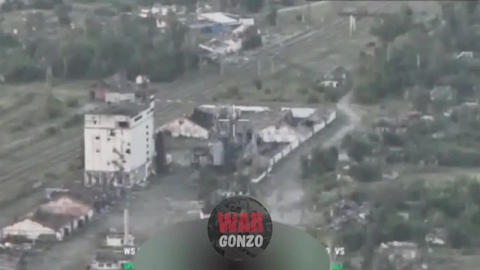WarGonzo:         