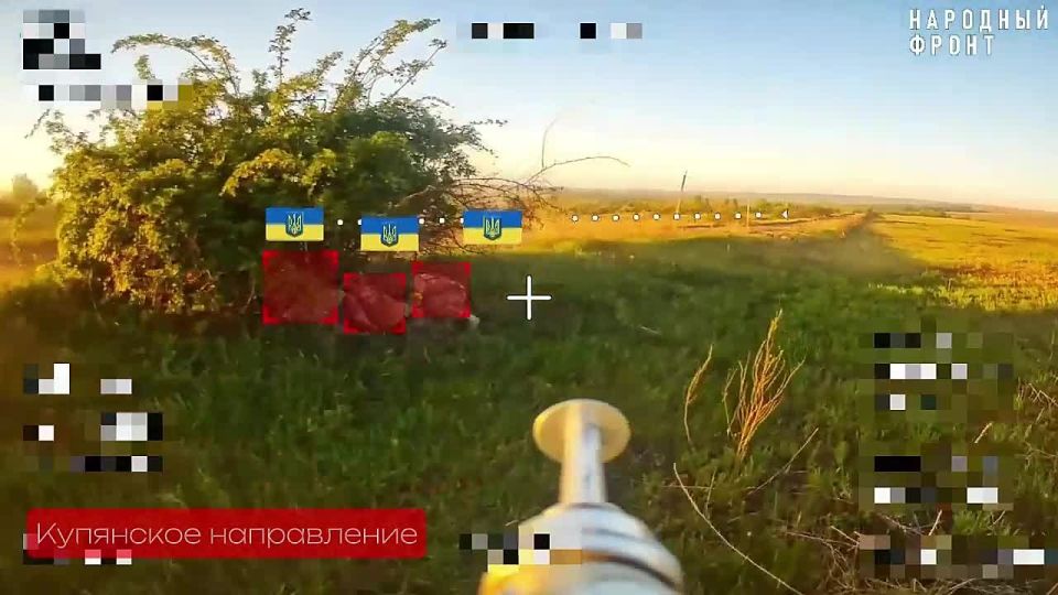   FPV-    