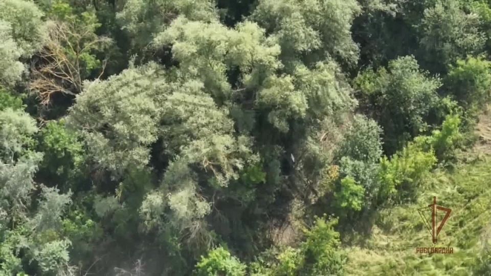  FPV-          