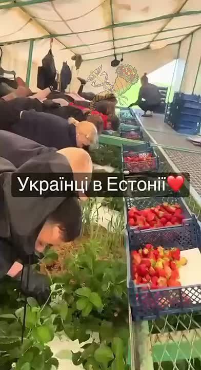   --     