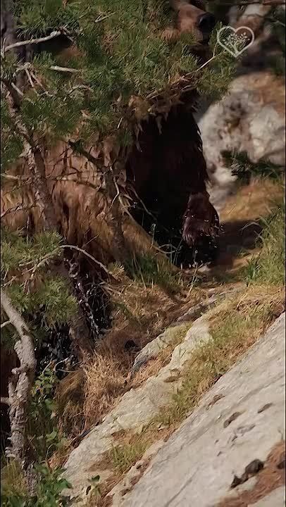  :         ,          ,          09 :