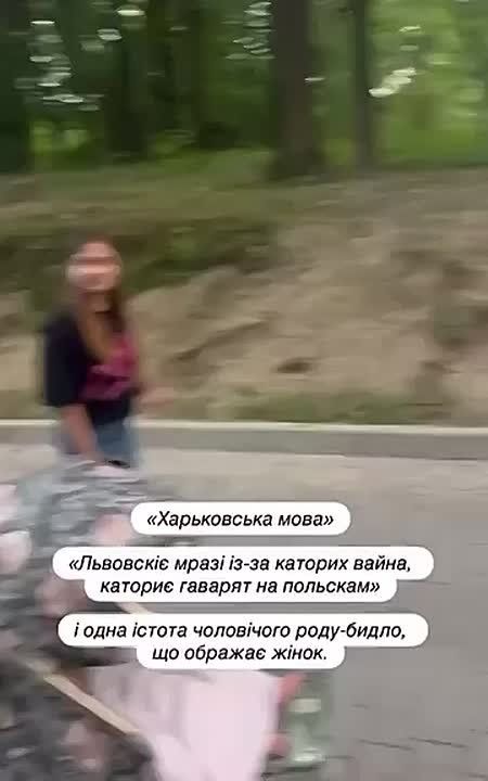  -             ,  &quot;   &quot;