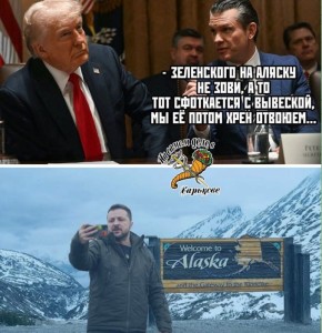 &quot;    ,&quot; -    