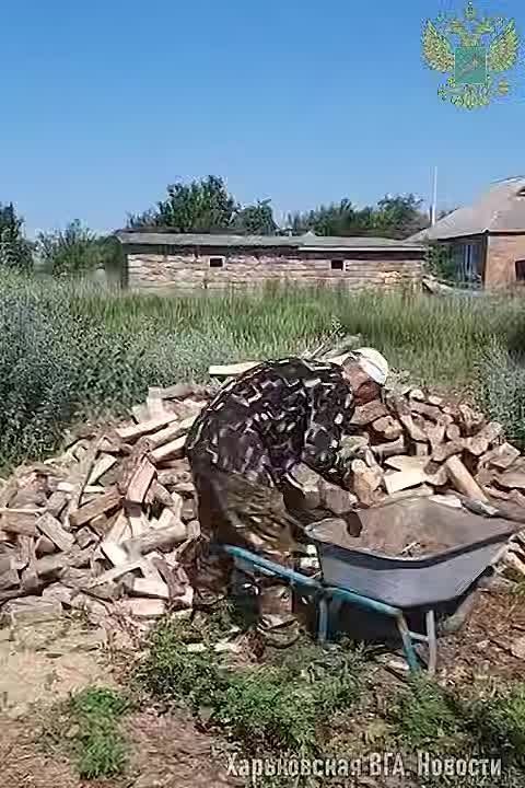 -    &quot; &quot;           