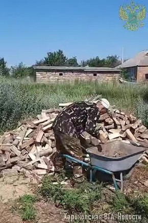-    &quot; &quot;           