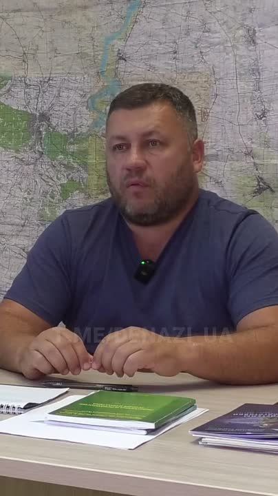 &quot;,    &quot;