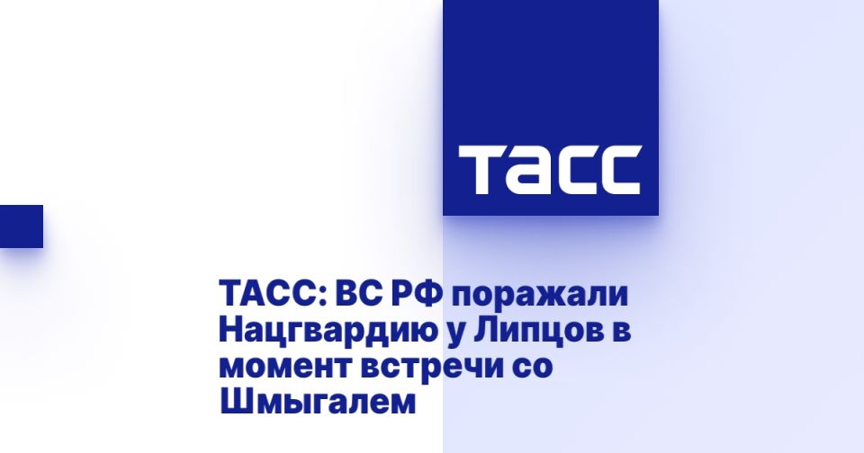 ТАСС: ВС РФ поражали Нацгвардию у Липцов в момент встречи со Шмыгалем