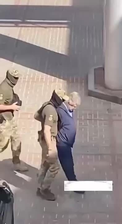    ,       ,     :