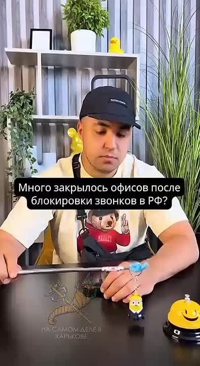  -,        ,   ,   