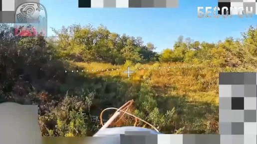    (   )    ,    ,       