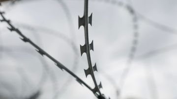 Заключённых пытали и превращали в рабов: Украинские власти вскрыли шокирующие факты о харьковской колонии