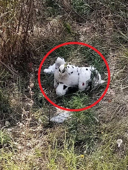 , !.         !  ,   ,      