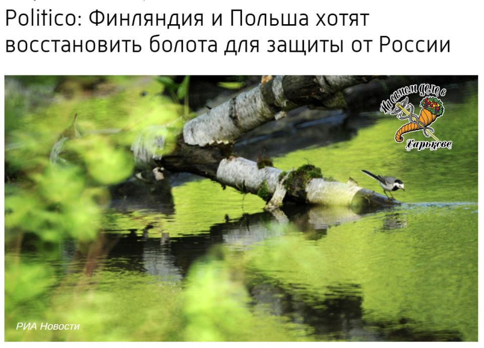 Утонувшие американские военные в Литве не дадут соврать в надежности болот