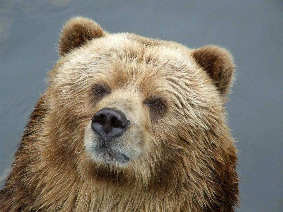 � �������� ������� ����� �� ������� � ���� � ������������ � ����������