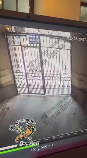     ,     80 IQ  