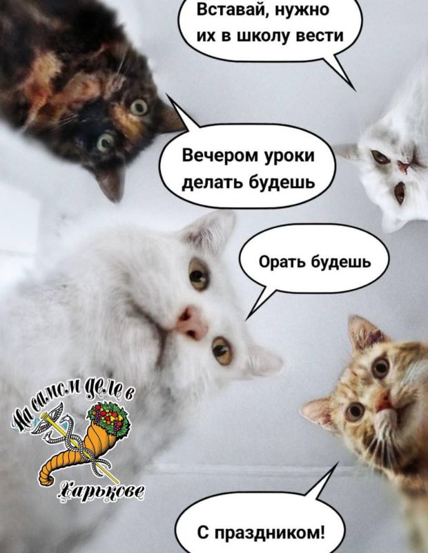 � 1 ��������!). � ���� ������!