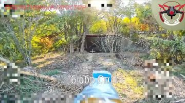 Владислав Шурыгин: Оптоволоконщики 16-й обрспн обходным маневром сносят башню британской 155-мм САУ AS-90 на Купянском направлении