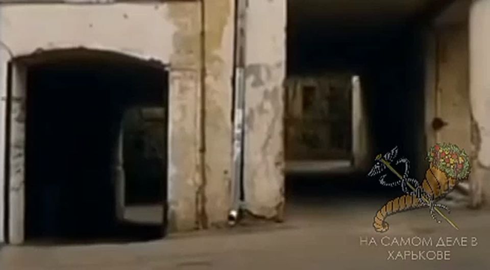 ��������� ������ ����� ���������� �� ������� ����!