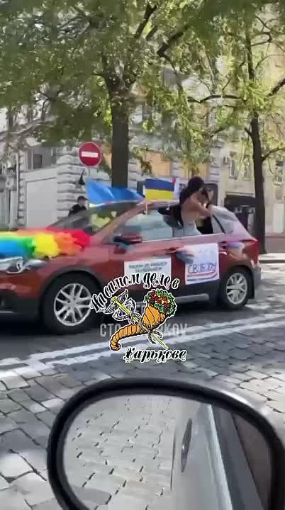 � �������� �������� ��������* �����