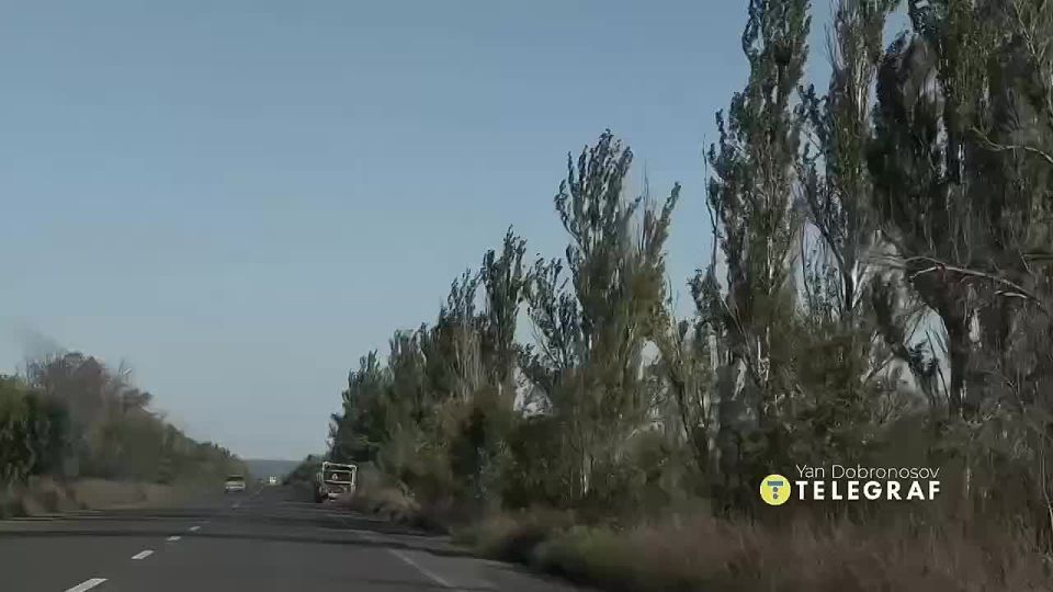 ��� ����� �� ���������� � ������ ����-��������, �� ������� ��������� ������� �������� ���� ������ ���������� ����