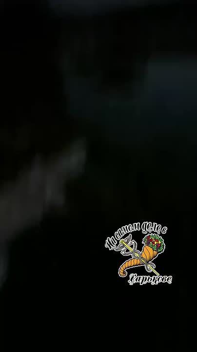 ���� ������ ��� ��������� ������� ����� �������� ������� ���