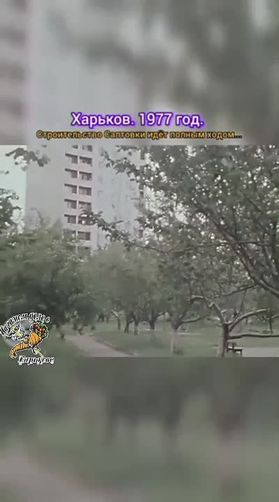 ��� ��� ����, ��� ��� ����, �� ������������, �������� ���� ����