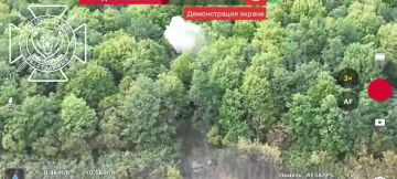 За нас даже "Зевс"! Расчет ударного БпЛА "Молния" уничтожил украинский танк