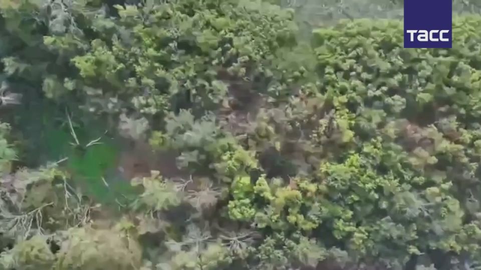 ���������� ������� � ��������� ��������� ����������� ������� ������� � ���� �� �� ��������� ������������ ���������