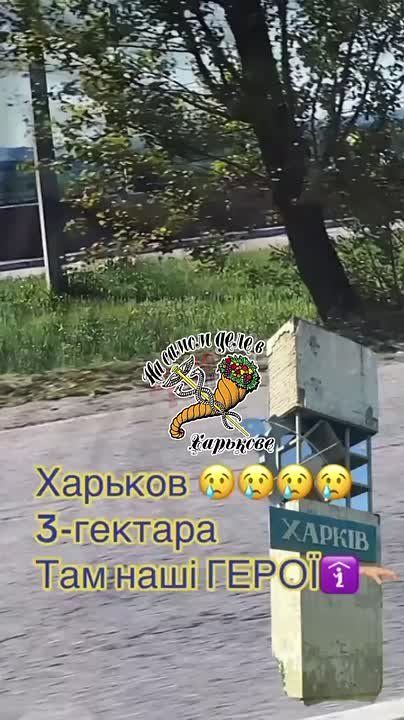 12 000 ��������� ������ �� ����� ��������