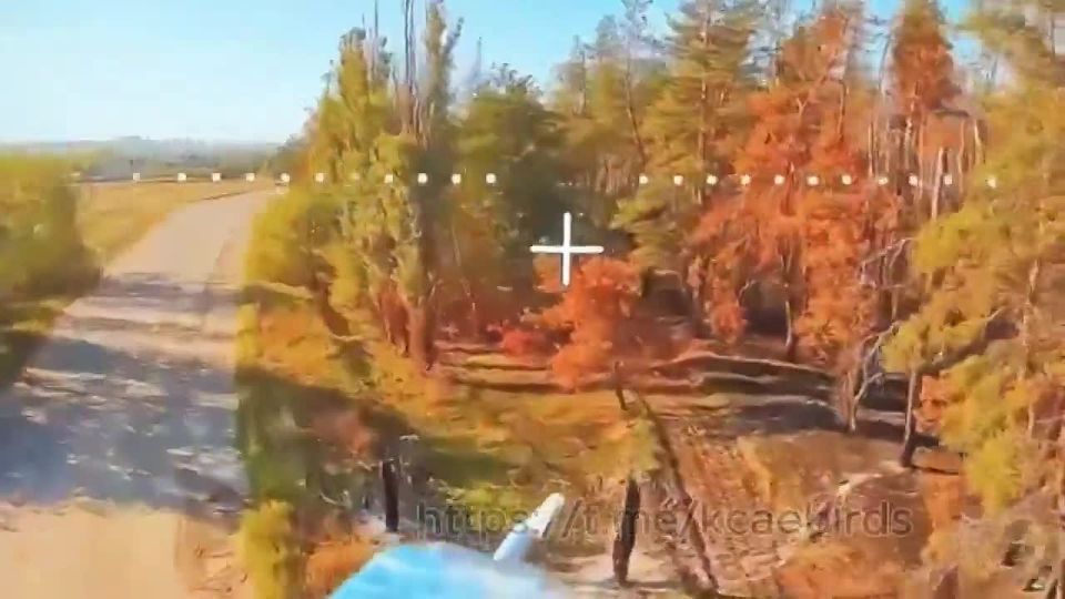 ������ ���������� ���������� FPV-������ ��� ����� � ���, ��� ��������� ��������� ��� ������� � ������������ � ��������