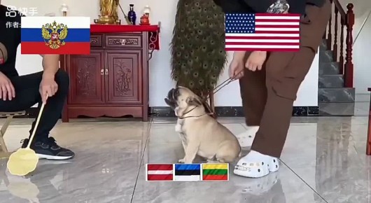   :          