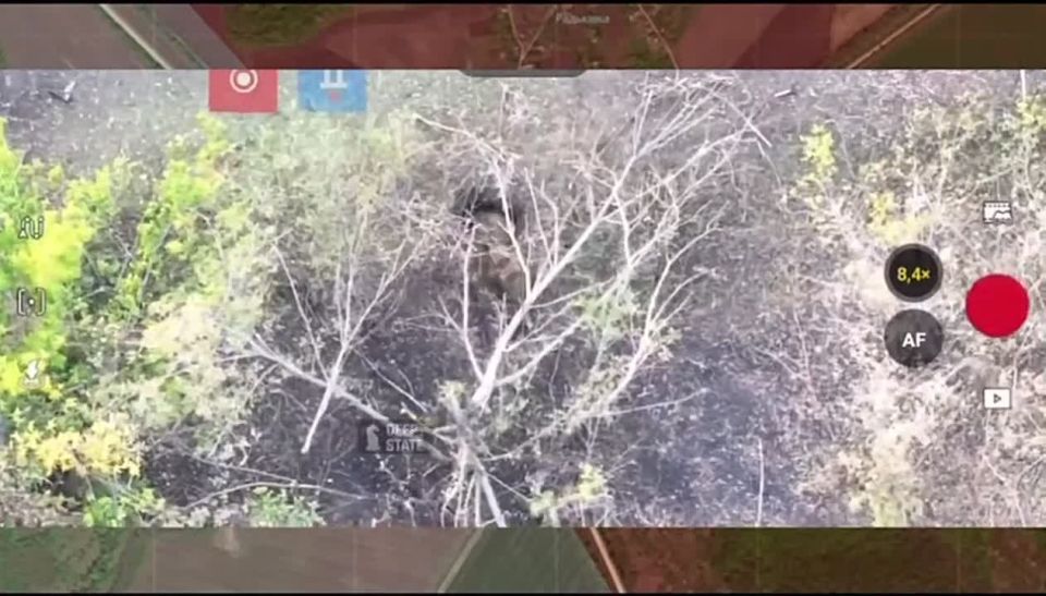 ���������� ������� ����� ������������ � ����� ��� �����, ������ ������ ������� �����