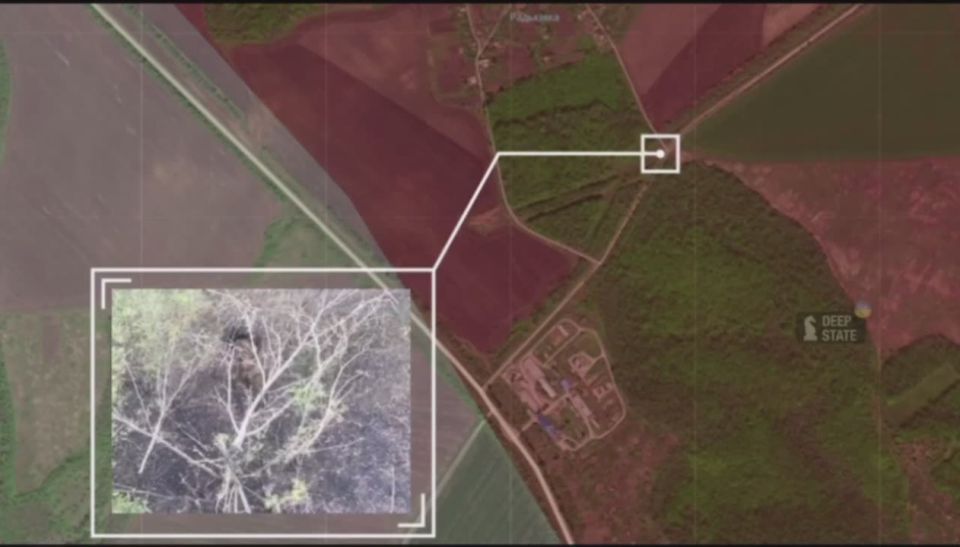 ��������� ��������, ��� �� �� ����� ��������������� �������, �� ���� ���, ����� ���������� � �������