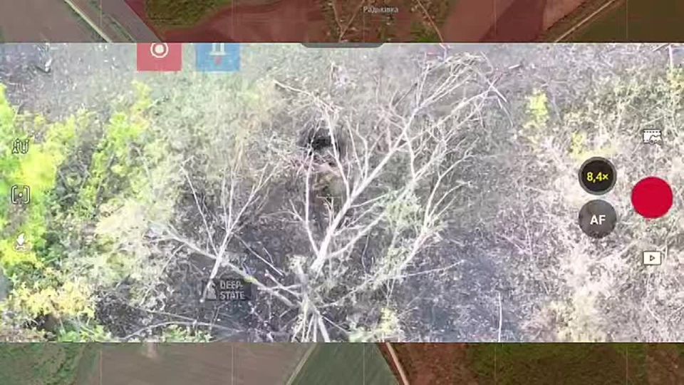 �� �� ����� � ������� ����� ������� �����: ��� ������������ ������������ ���� ���������������, � �������� ���������� DeepState