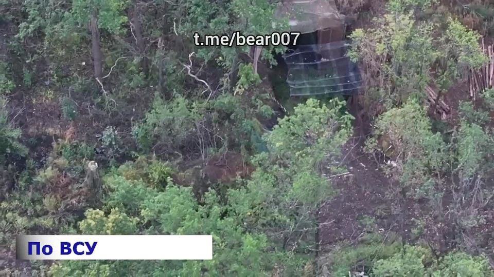 ������� ������ "�����" ���������� ���������� �������� � �� ������� � ����������� �������, ������������ � ����������� ��������