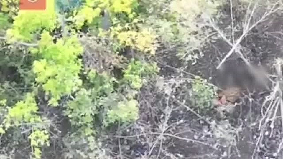 ���������� ����� ����� ������� ����� ����� � ������� � ����������� �������, ���������� ���������� ���������