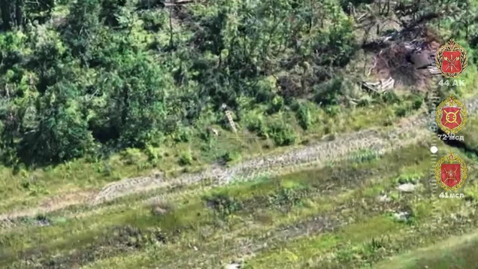 ���������� ����������. ����������� �������