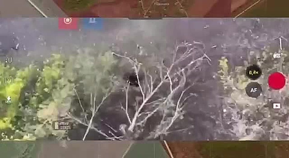  :  . ,         ,    