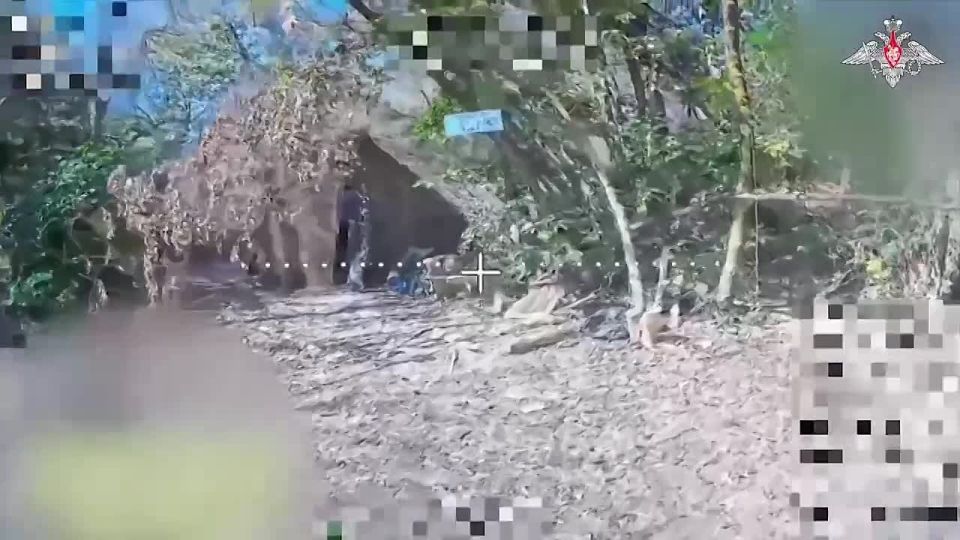 ������ ������ ����� ����������